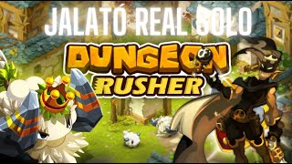 Tymador Dofus 30 Jalató Real Dungeon SOLO RUSH lvl 40 [upl. by Miarhpe526]