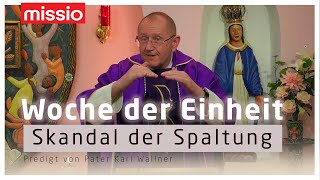 Woche der Einheit  Skandal der Spaltung  Pater Karl Wallner  Predigt vom 18012023 [upl. by Gabbi]