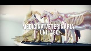 Medicina Veterinária Unilago [upl. by Rehotsirk]