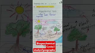 Biogeochemical Cycle Geographyviralvideo shortsvideo shortsshort [upl. by Enneicul656]