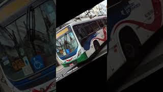 Edit da Expresso São Francisco gustavoctransportesurbanos [upl. by Reitman]