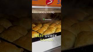 Cooking the BEST Uzbek SAMSA in a Tandoor Oven  Authentic Recipe [upl. by Duky]