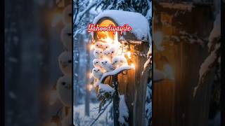 Christmas carol malayalam yahoodiyayile shortfeed malayalam christmas music [upl. by Esiuqcaj]