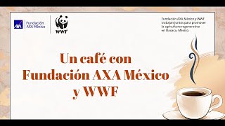 Promoviendo la agricultura regenerativa en Oaxaca con Fundación AXA México [upl. by Nivaj]