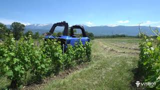 Bakus enjambeur électrique et autonome démonstration CUMA Isère Savoie [upl. by Girish]