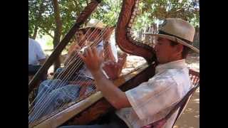 Traditional Paraguayan Harp Music [upl. by Adnala61]