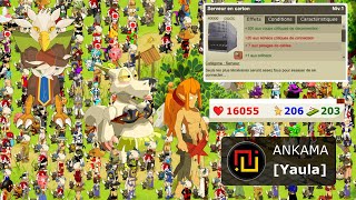 DOFUS RETRO TEMPORIS III 3  ANKARTON amp MODO [upl. by Fosque953]