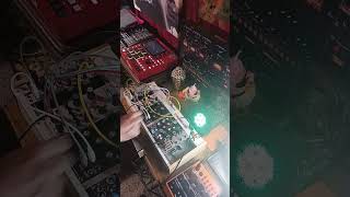 SEARING STRINGS idm eurorack noise ambient experimental pluck miasma ritual synth melodic [upl. by Ahsitniuq255]