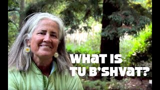 What is Tu Bshevat The Jewish Tree Holiday [upl. by Pickford45]