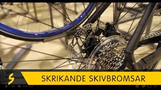 Skrikande skivbromsar på cykel [upl. by Vanhook]