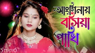 anginay bosiya pakhi  আংগিনায় বসিয়া পাখি  bangladesh bangla parbin jkmixstudio jk [upl. by Ettegroeg]