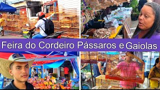 Feira de Pássaros e Gaiolas do Cordeiro 1 passaros criarpassaros feiralivre [upl. by Lankton469]