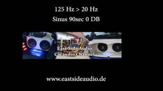 125 Hz to 20 Hz 90sec Sinus Ton Wave 0DB für Hifi Audio Test Sweep [upl. by Alag]