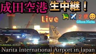 🐢2成田空港📸生中継 Narita International Airport 🛫Live【Gibson Narita】 [upl. by Idnyl631]