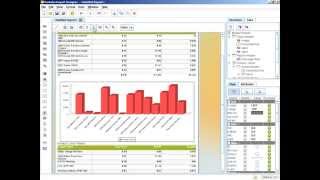 Report Design  Adding Charts [upl. by Collum888]