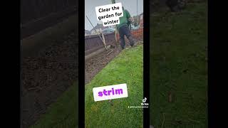 Im a garden waste disposal expertthis is how I do it garden nature gardenlife gardening rain [upl. by Diet]