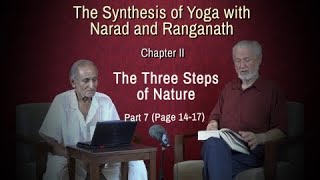 The Synthesis of Yoga with Narad and Ranganath  Part 7 Pg 1417 [upl. by Couchman192]