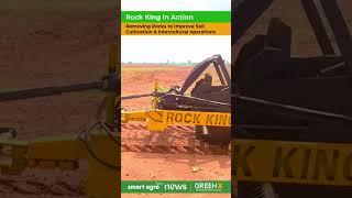 Removing Rocks to Improve Soil Cultivation amp Plant Growth  RockKing in Action  GreenX Sandal Farm [upl. by Athene4]