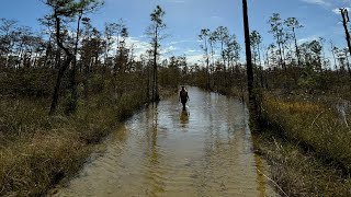 Florida Everglades Adventure [upl. by Toombs]