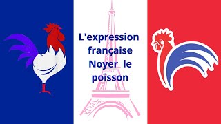 Lexpression française noyer le poisson [upl. by Ahsemak]