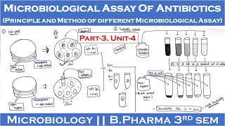 Microbiological assay of antibiotics  Principle and method of different microbiological assay  P3 [upl. by Eitsyrc]