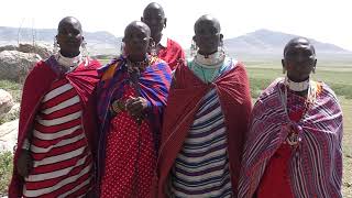 Olosho Maasai community land rights struggle in Loliondo Tanzania [upl. by Hanima941]