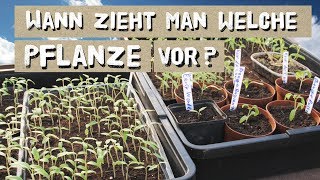 Wann welche Pflanze vorziehen Tipps zur Jungpflanzenvoranzucht [upl. by Errised687]