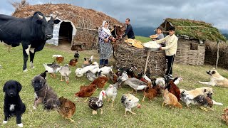 Creating Traditional Local Cheese Baking Bread And Cooking Fried Chicken [upl. by Varien]