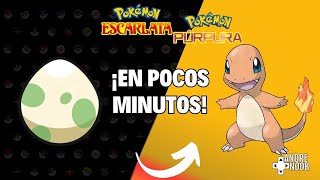 ✨Pokémon Escarlata y Púrpura eclosionar huevos rápidamente [upl. by Anaehr]