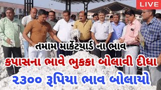 kapas na bhav  14112024  કપાસના ભાવ2024  Information about cotton crop price  Commodity Trend [upl. by Mayman]