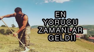 EN YORUCU ZAMANLAR GELDİ  Bizimle 3 gün geçirmek ister miydin [upl. by Jezreel381]