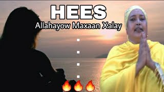 HEES  Allahayow Maxaan Xalay  Marwo Cabdi Axmed  Kaban  Lyrics [upl. by Ecissej]