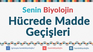 09Hücrede madde geçişleri [upl. by Atterbury]