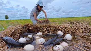 BEST Full Video Better unique fishing a I found a lot of fish under the straw grass [upl. by Evoy351]