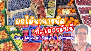 ผลไม้ หลากหลายชนิด หลากหลายสายพันธุ์ และราคาแตกต่างกันไป ที่เยอรมันนี Fruits in Euskirchen Germany [upl. by Akemit]