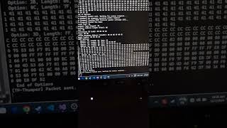 TPLink VN020 DHCP Memory Corruption  DOS Attack PoC [upl. by Volney848]