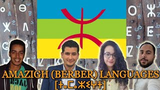 Can Amazighs Understand Each Other [upl. by Tuppeny]