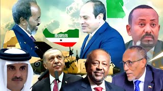 Xog Duullaanka Gobolka Geeska Doorka Somaliland Iyo Danaha Dawladaha Shisheeye [upl. by Mirna]