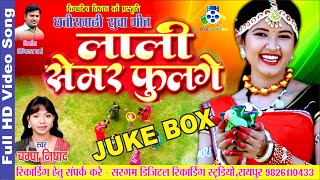 Sau Geet II Super Hit Sua Geet Champa Nishad [upl. by Kramnhoj589]