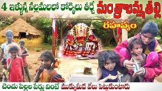 నల్లమలఅడవిలో రహస్యగ్రామం Narutadikela chenchugudem Life style of chenchu tribe in nallamala forest [upl. by Airehc714]