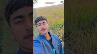 Pura somiyana☝️👀 bhojpuri youtubeshorts viralvideo viralshorts trendingvideo love saport guys [upl. by Ahsaetan202]