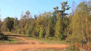 Peregrine Heights Estates  5 Acre Building Lots in Henderson County Tennessee [upl. by Socram250]