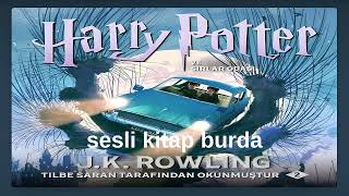 harry potter ve sırlar odası 18bölüm dobbynin ödülü  sesli kitap son [upl. by Myrle994]