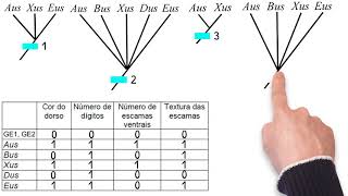 Sistemática parte 5  Construção de cladogramas [upl. by Htirehc]