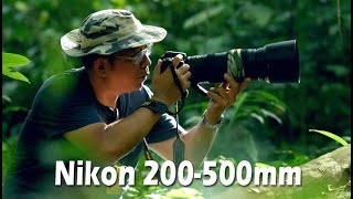 Nikon 200500mm F56E VR tested on D7100 video shoot l Wild Bird Photographer [upl. by Akirej]