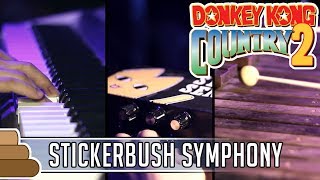 David Wise  Stickerbrush Symphony Donkey Kong Country 2 [upl. by Alleroif]