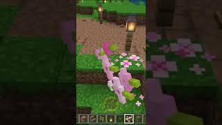 Minecraft Decorações ep39 shorts minecraft [upl. by Ramma]