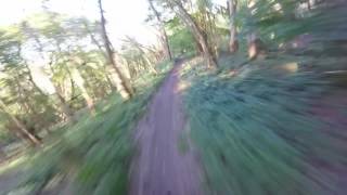 Downhill Mountain Biking  Lions Trail Steyning West Sussex [upl. by Jerad]