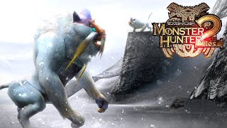 Monster Hunter 2 PS2 Online  HR40 Exams 2 [upl. by Lytsirhc]