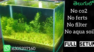 planted aquarium setup teluguno filter no co2 no ferts tankwalstad method aquarium in telugu [upl. by Atrice]